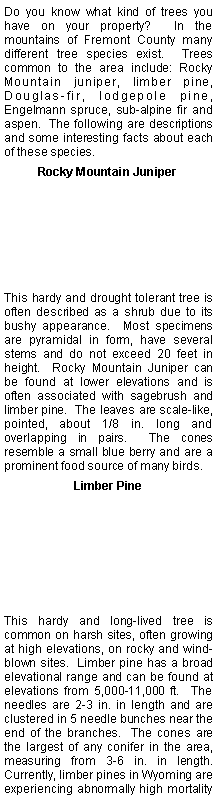 Text Box: Do you know what kind of trees you have on your property?  In the mountains of Fremont County many different tree species exist.  Trees common to the area include: Rocky Mountain juniper, limber pine, Douglas-fir, lodgepole pine, Engelmann spruce, sub-alpine fir and aspen.  The following are descriptions and some interesting facts about each of these species.Rocky Mountain JuniperThis hardy and drought tolerant tree is often described as a shrub due to its bushy appearance.  Most specimens are pyramidal in form, have several stems and do not exceed 20 feet in height.  Rocky Mountain Juniper can be found at lower elevations and is often associated with sagebrush and limber pine.  The leaves are scale-like, pointed, about 1/8 in. long and overlapping in pairs.  The cones resemble a small blue berry and are a prominent food source of many birds.Limber PineThis hardy and long-lived tree is common on harsh sites, often growing at high elevations, on rocky and wind-blown sites.  Limber pine has a broad elevational range and can be found at elevations from 5,000-11,000 ft.  The needles are 2-3 in. in length and are clustered in 5 needle bunches near the end of the branches.  The cones are the largest of any conifer in the area, measuring from 3-6 in. in length.  Currently, limber pines in Wyoming are experiencing abnormally high mortality 