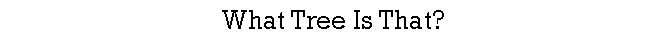 Text Box: What Tree Is That?