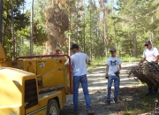 Homestead Park Work Day