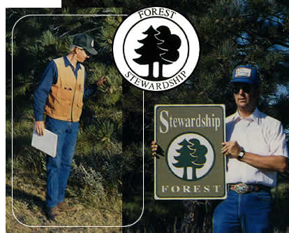 stewardship_image